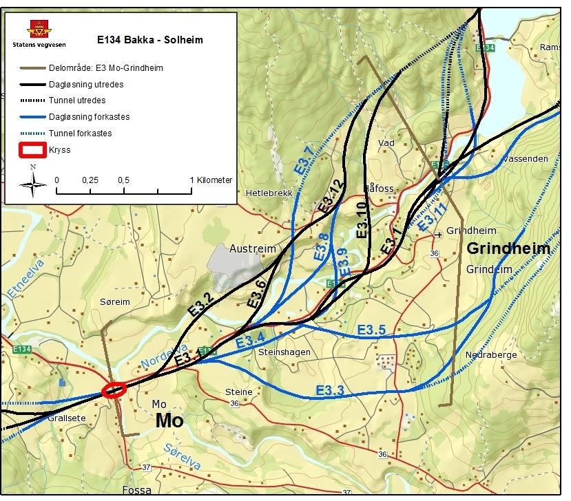 4.3.1 Konklusjon etter første siling I delområdet er det identifisert 12 ulike alternativer / varianter, se figur 4.6. Alternativ E3.1, E3.2, E3.6 og E3.10 og E3.