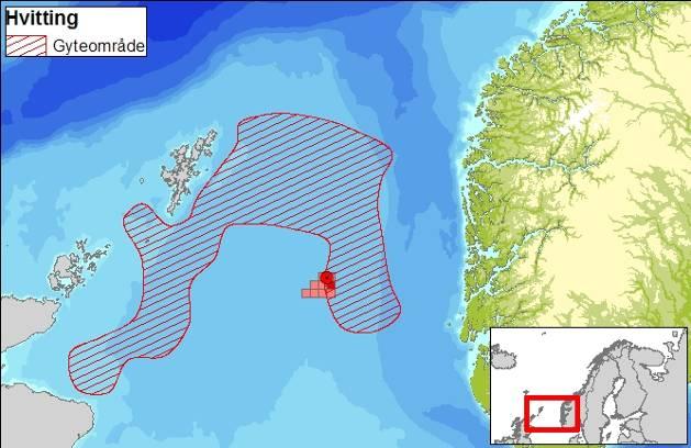 Tabell 7-1 Overlappsanalyse for total hydrokarbonkonsentrasjon over 100 ppb per 10 10 km grid rute i vannsøylen og gyteområdene for utvalgte arter.