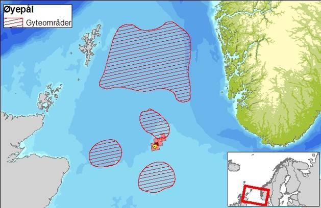 100 ppb olje i vannsøylen går til grunne, utgjør det for øvrig kun 0,3 % av alt gyteprodukt. Det er 0,1 % overlapp med gyteområdet til makrell, og ingen overlapp med de resterende artene.