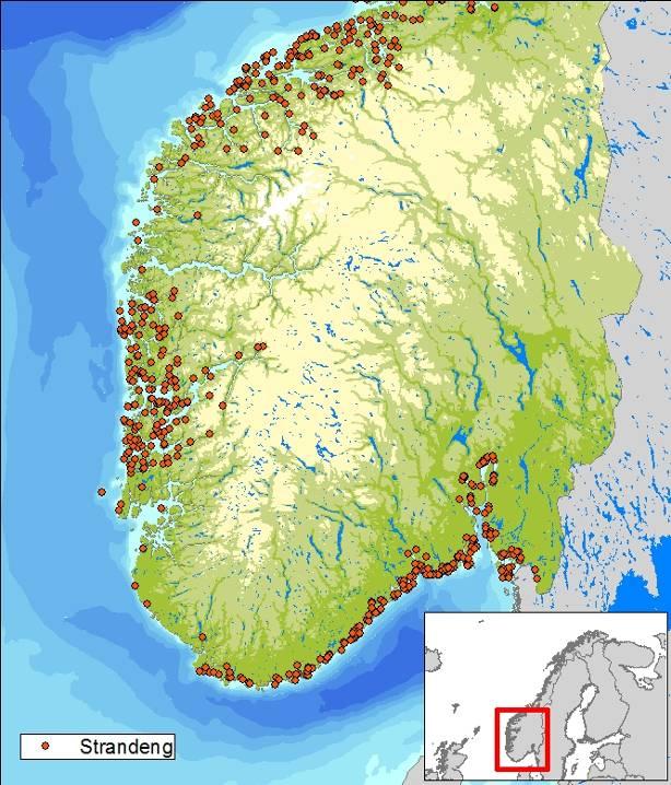 Figur 4-23 Strandeng-lokasjoner i analyseområdet. Grus / Steinstrand Grus- og steinstrender er utviklet i områder med morene- eller forvitringsmateriale.