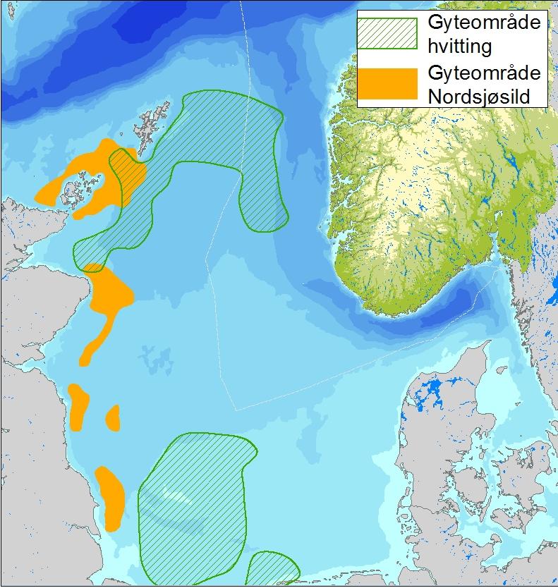 Figur 4-28 Gyteområde for artene tobis, øyepål, nordsjøtorsk, nordsjøhyse,