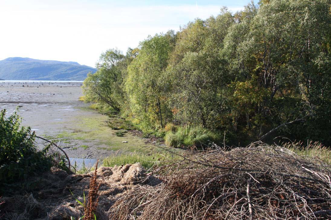 Naturfaglig vurdering av Mølnelva og Jodalen, Fauske kommune, som mulige