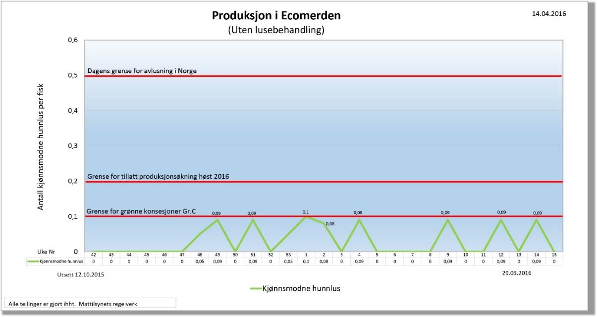 Manetene festa seg på gjellene til fisken slik at denne fekk betydelege gjelleskader.