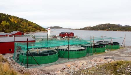 MARINE HARVEST NORWAY AS AVD. NORDHEIM Settefiskanlegget ved Nordheim (reg. nr M/T 0005 lokalitetsnummer 12474 Sagvikvatnet) har hatt konsesjon siden 29. november 1982. Konsesjonsrammen har siden 3.