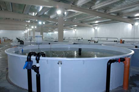 P til LAKSEFJORD AS 5 5. Vannbehandlingsanlegg Resirkuleringssystemet skal sørge for at vekstbetingelsene for smolten er optimale.