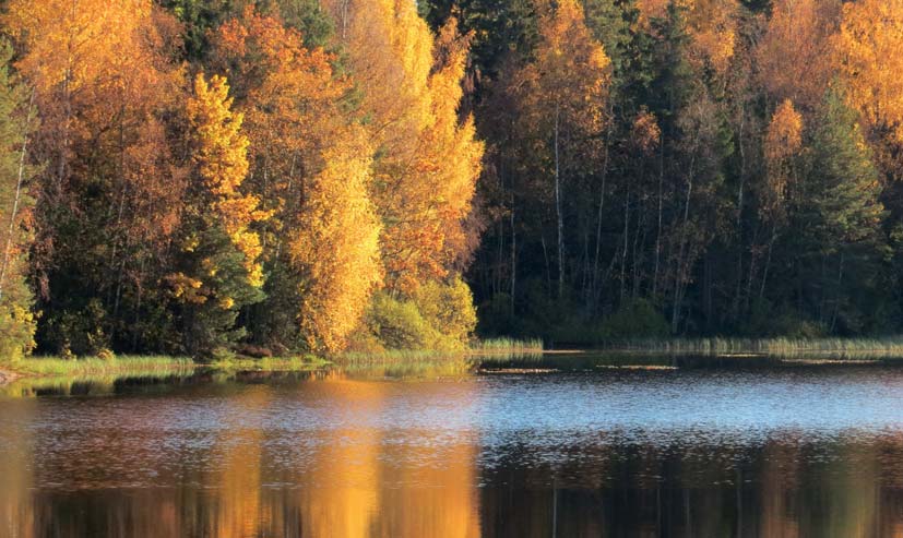 Pensjonskontorets styre har kommunisert med tariffpartene og forsikret seg om at dette er en riktig forståelse av tariffpartenes syn. Det er tariffpartene som fortolker HTA.