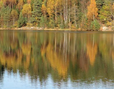 Hvor stor risikoen blir i pensjonskassen, vil avhenge av antall medlemmer i kassen.