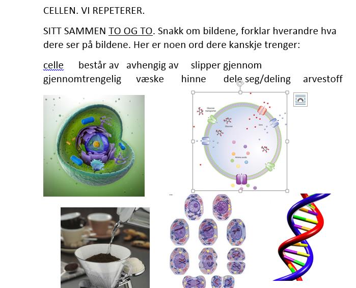 Elevene må møte ordene mange