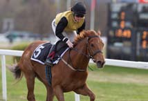 Holly Golightly vant enkelt kveldens første løp under Jacob Johansen. Holly Golightly het kveldens første vinner. Den fine hoppa slo en så god hest som Ionius.