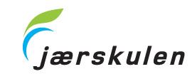 Tidlegare har Hå kommune i større grad vedteke utviklingsområder (satsingsområder) for skulane. Frå og med skuleåret 2014/2015 vil det vere skulane sjølv som prioriterer desse ut frå analyse og behov.