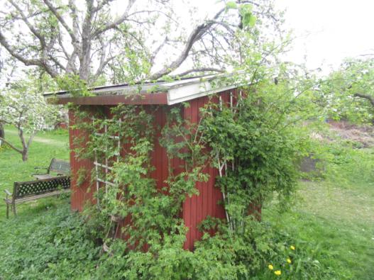 Bygg 12: Rødt uthus(tidligere utedo). ble satt opp. Enkel eller manglende fundamentering, antas å stå dels rett på bakken.