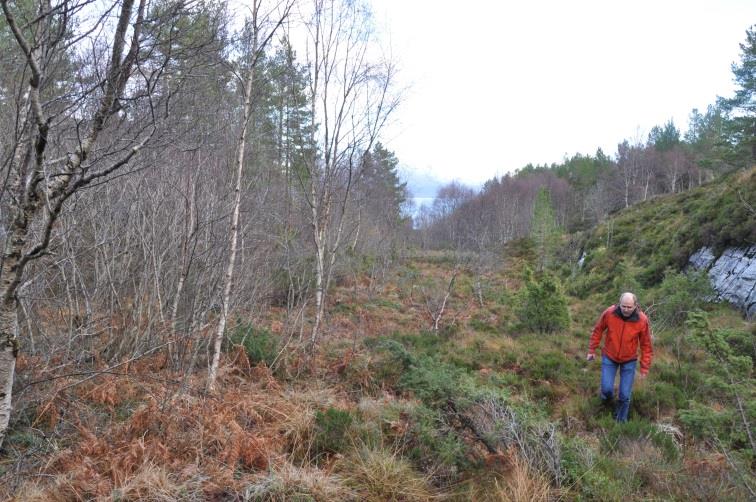 Detaljregulering for Nerdalen avløpsrenseanlegg - vedlegg