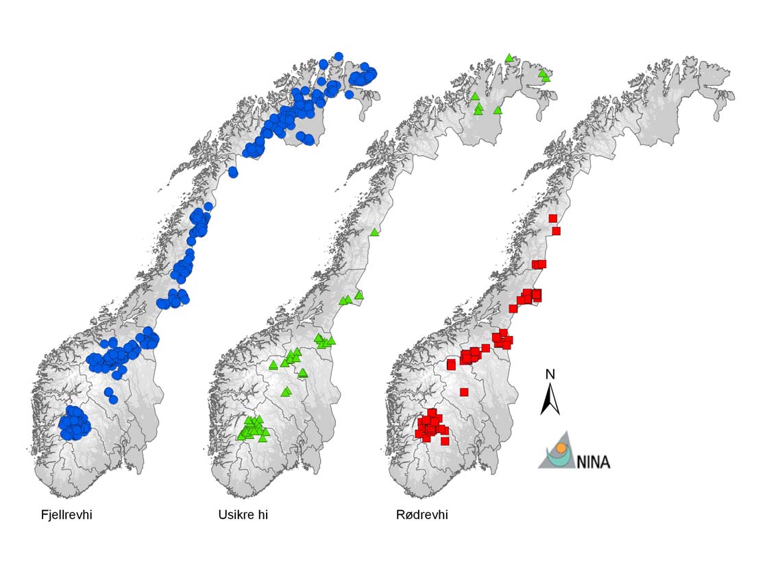 tegoriseres i henhold til opprinnelse (hvilken art som etablerte hilokaliteten: rødrev eller fjellrev) og funksjon; primærhi (ynglehi) eller sekundærhi (ikke ynglehi).