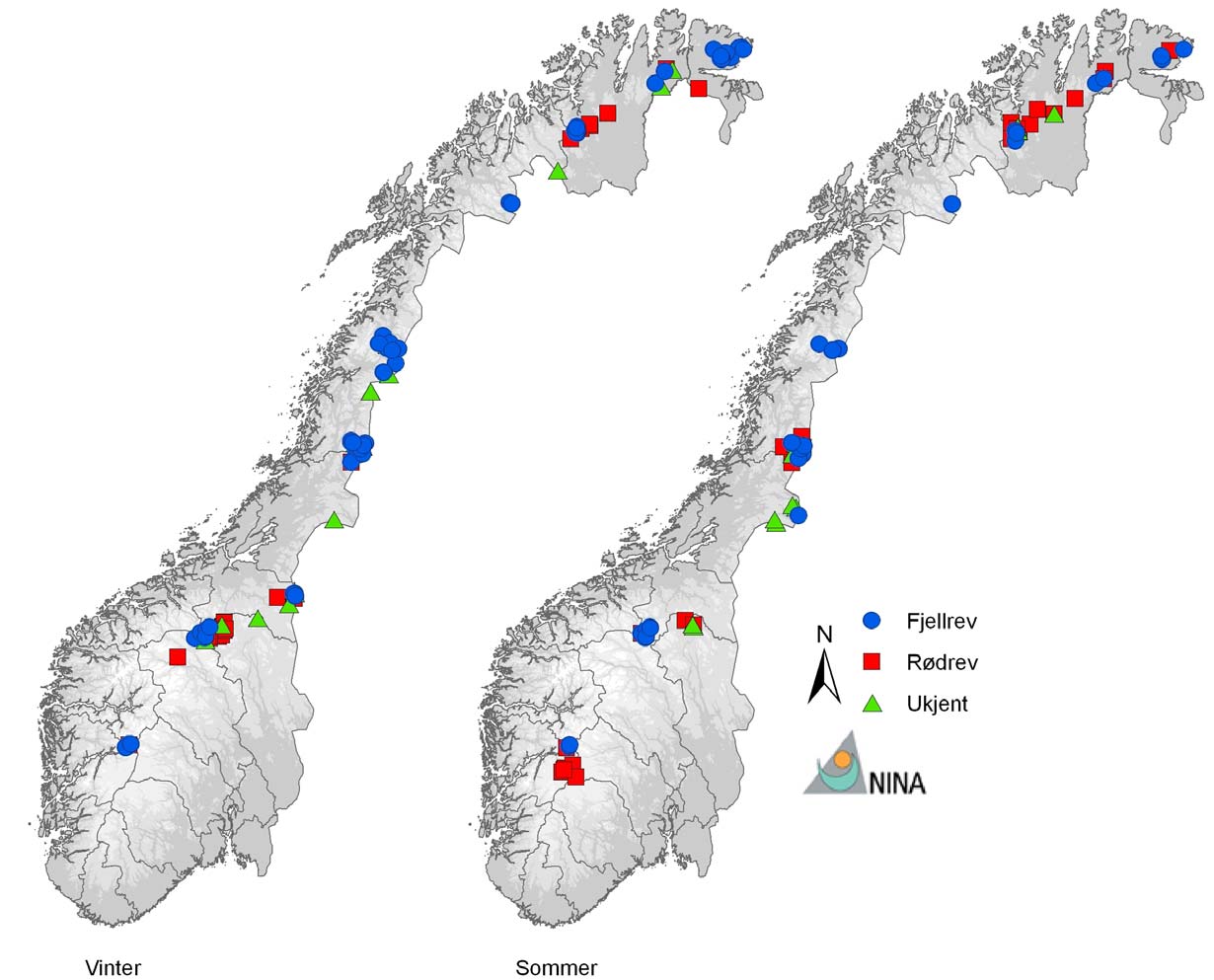 4 Resultater 4.1 Overvåking av hilokaliteter i21 4.1.1 Aktivitet på kontrollerte hi Registrert aktivitet ved kontroll vinter og sommer er presentert i detalj for hvert fjellområde i Figur 3 og Tabell 2.