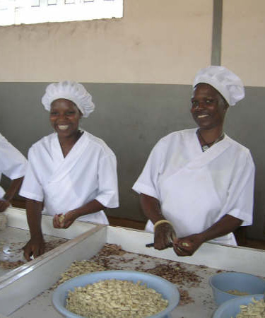 Handel og vekstmuligheter i det sørlige Afrika: Cashewnøtter fra Mosambik. Landbruksprodukter er blant Afrikas viktigste eksportvarer.