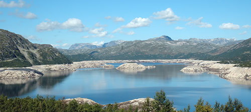 Nedtapping Bordalsvatnet august 2006 Store mengder fisk i Bordalsvatnet døde eller