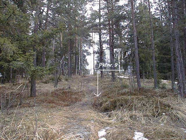 Eksempel - testpunkt - Hovdetoppen Punktnummer: 9 Bilderetning: