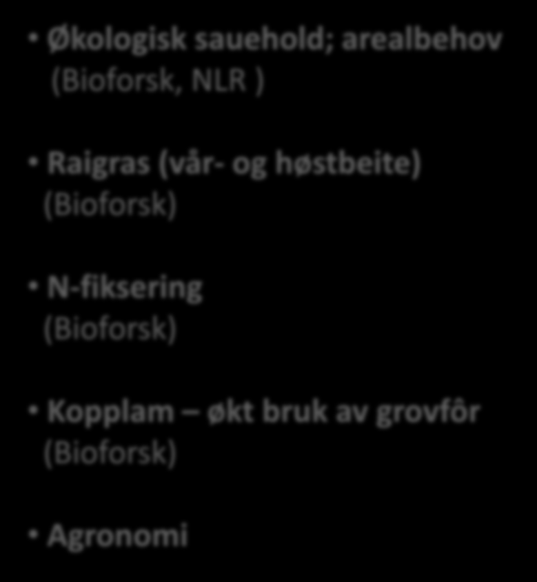 Forskning Areal/planteproduksjon Økologisk sauehold; arealbehov (Bioforsk, NLR ) Raigras (vår-