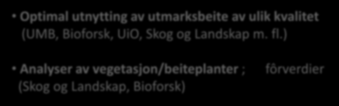 Forskning Utmarksbeite Optimal utnytting av utmarksbeite av ulik kvalitet (UMB, Bioforsk, UiO,