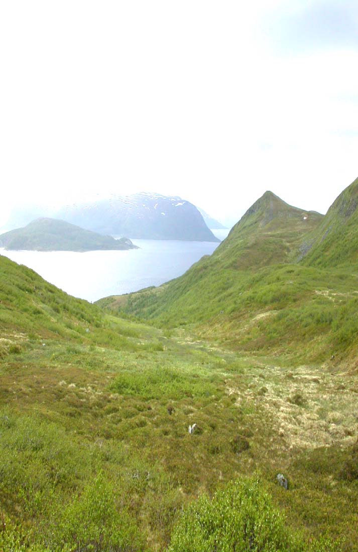 Foto 1. Nordvannvåg sett fra Vannhaugen 280 m.o.h. Trase nord (blå) og sør (rød) inntegnet.