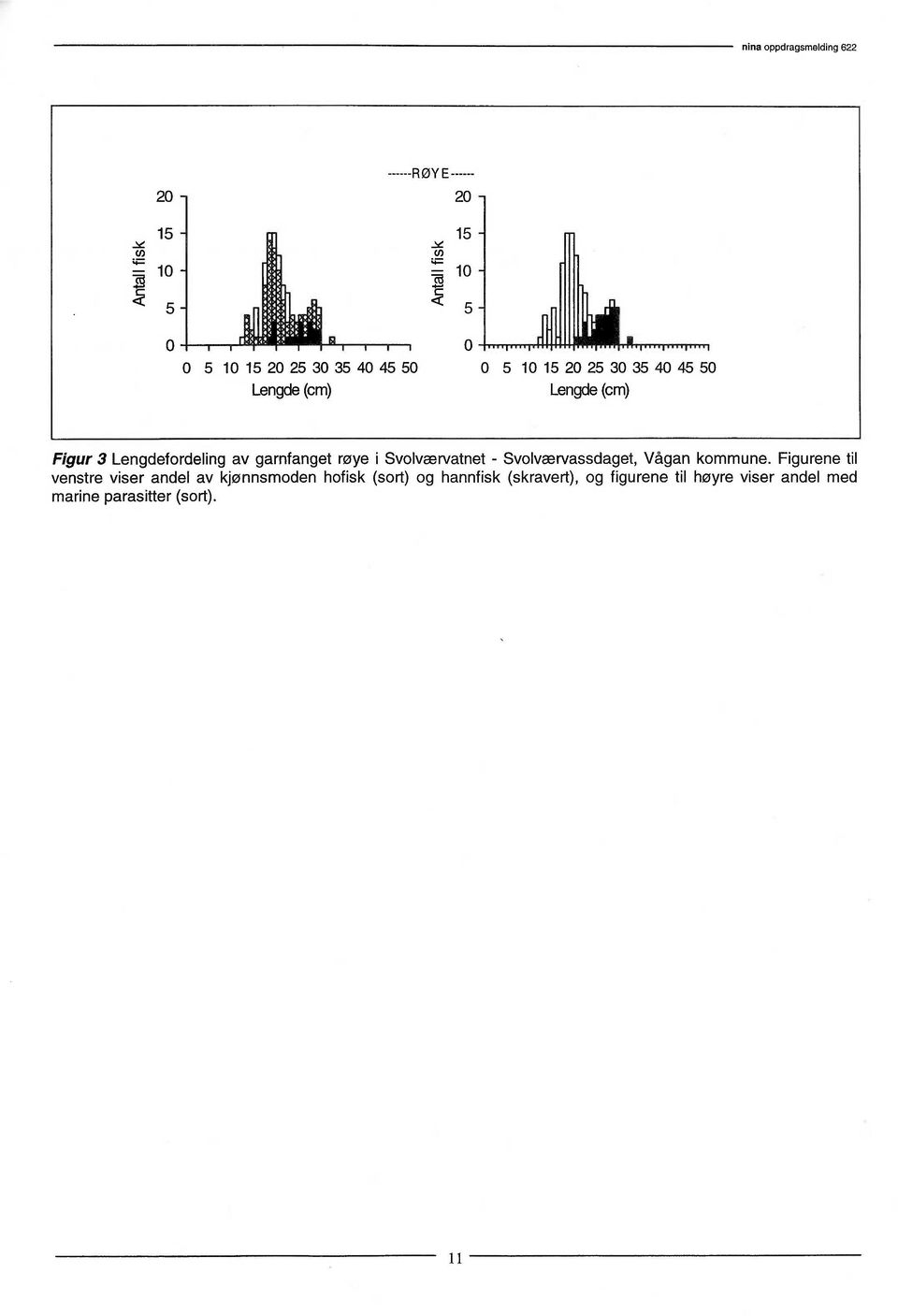 Lengde(cm) Figur 3 Lengdefordelingavgarnfangetrøye i Svolværvatnet
