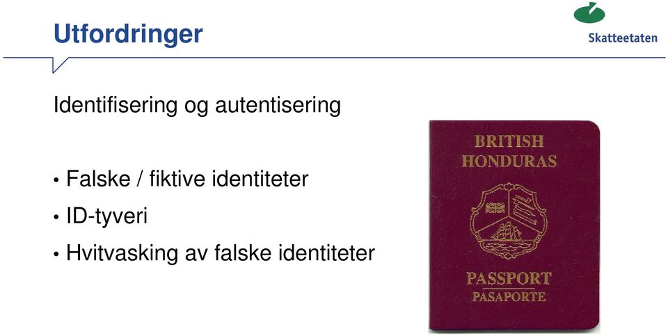 fiktive identiteter ID-tyveri