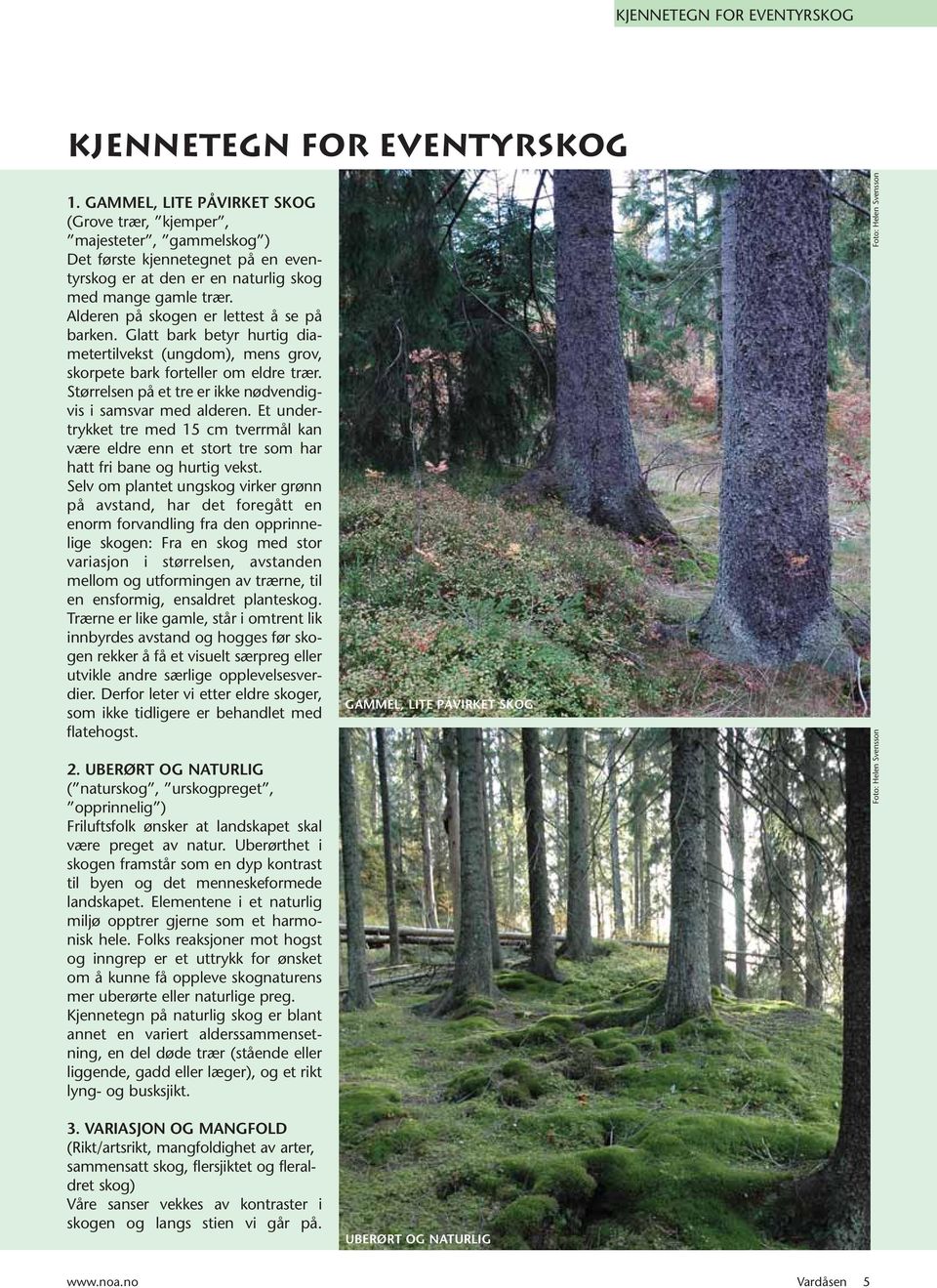 Alderen på skogen er lettest å se på barken. Glatt bark betyr hurtig diametertilvekst (ungdom), mens grov, skorpete bark forteller om eldre trær.