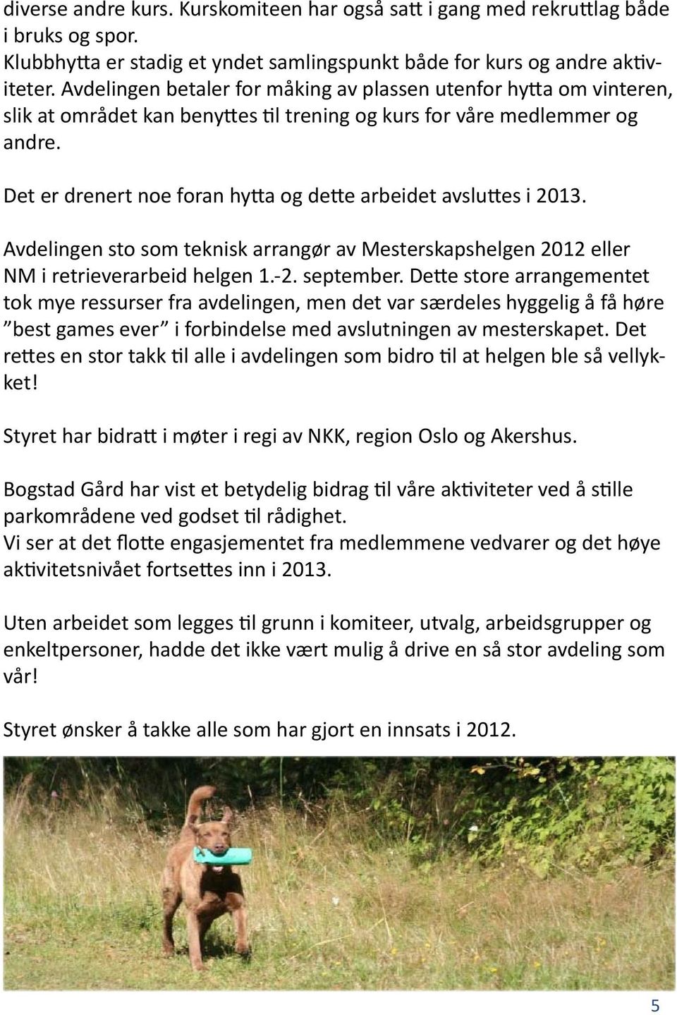 Det er drenert noe foran hytta og dette arbeidet avsluttes i 2013. Avdelingen sto som teknisk arrangør av Mesterskapshelgen 2012 eller NM i retrieverarbeid helgen 1.-2. september.