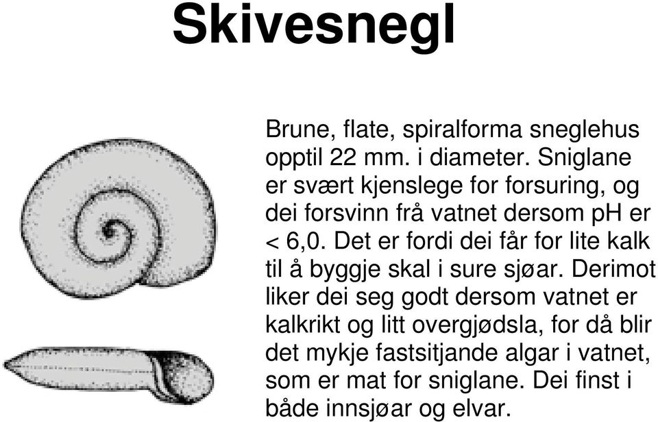 Det er fordi dei får for lite kalk til å byggje skal i sure sjøar.