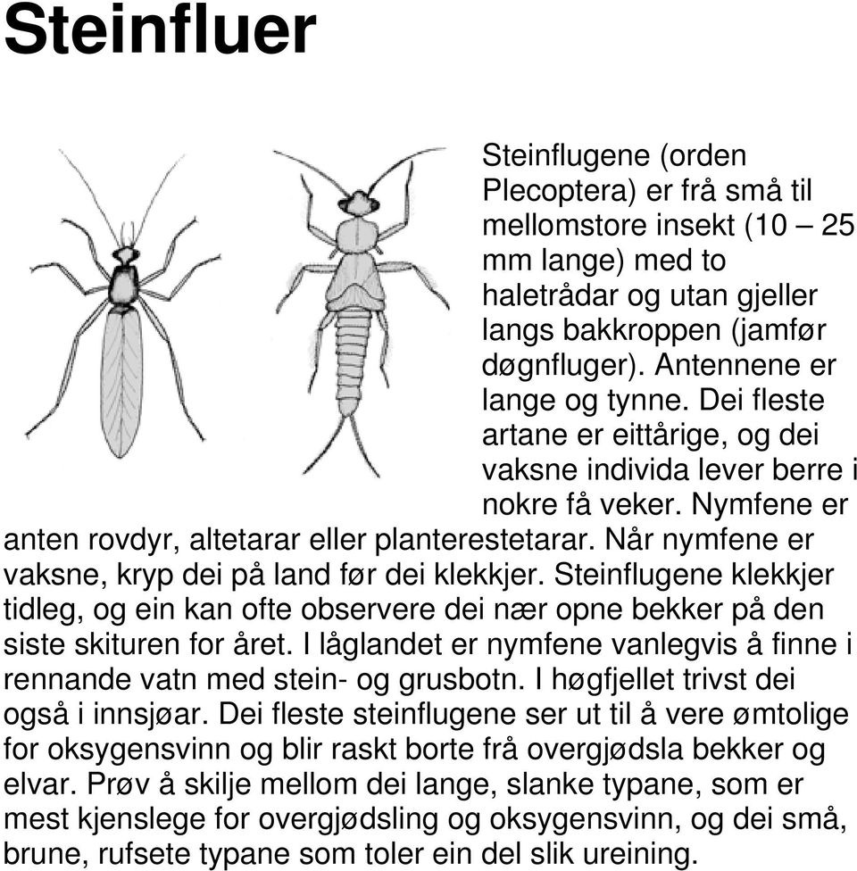 Når nymfene er vaksne, kryp dei på land før dei klekkjer. Steinflugene klekkjer tidleg, og ein kan ofte observere dei nær opne bekker på den siste skituren for året.