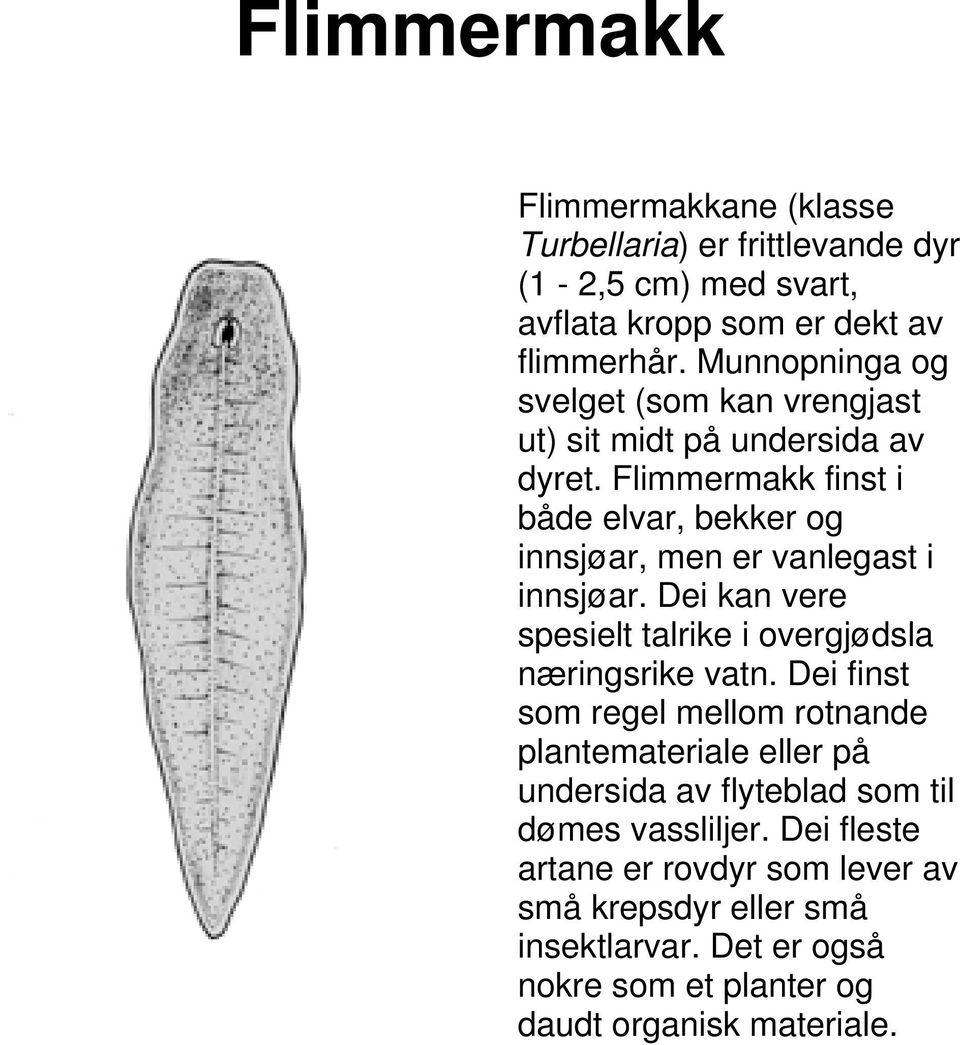 Flimmermakk finst i både elvar, bekker og innsjøar, men er vanlegast i innsjøar. Dei kan vere spesielt talrike i overgjødsla næringsrike vatn.