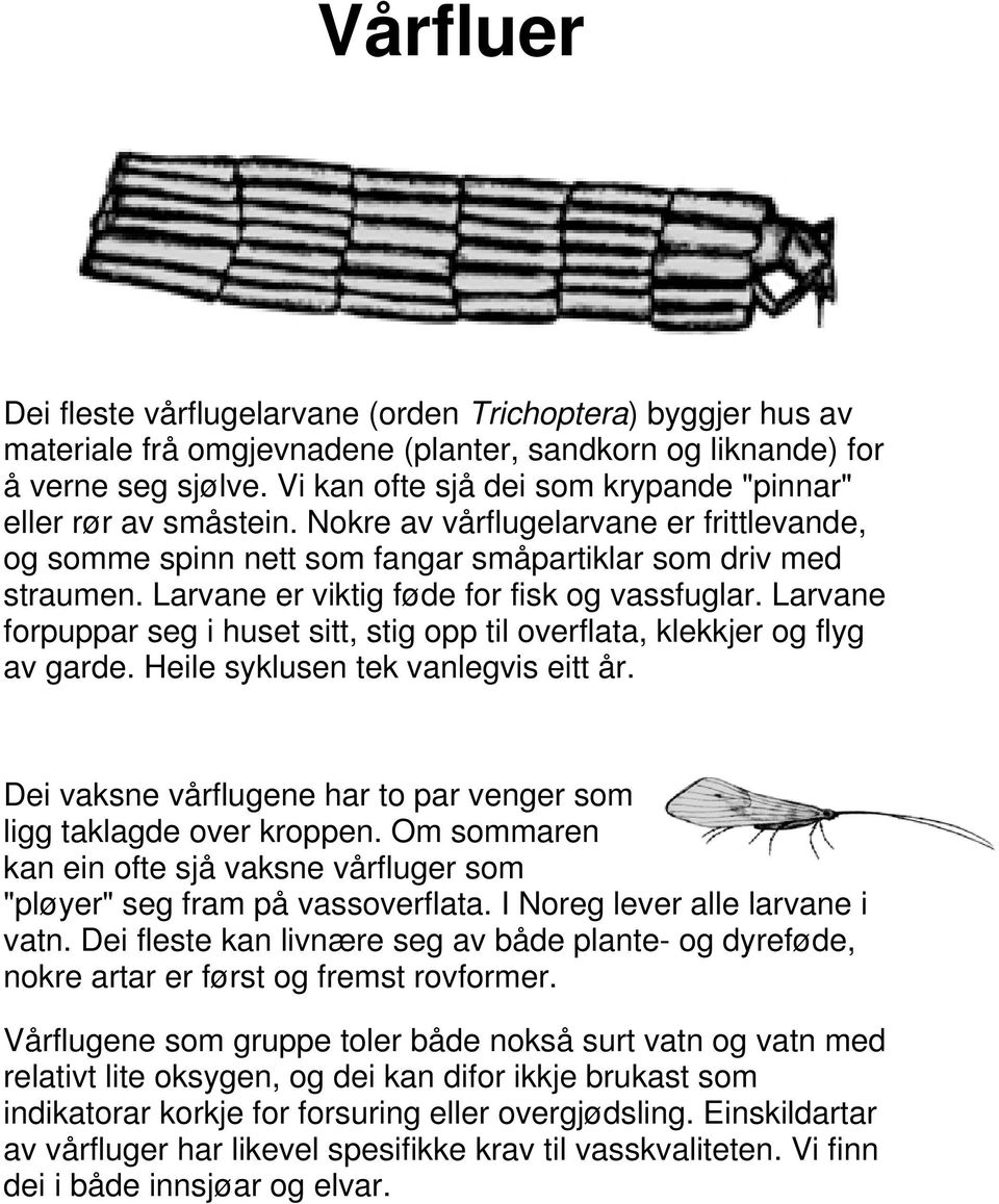 Larvane er viktig føde for fisk og vassfuglar. Larvane forpuppar seg i huset sitt, stig opp til overflata, klekkjer og flyg av garde. Heile syklusen tek vanlegvis eitt år.