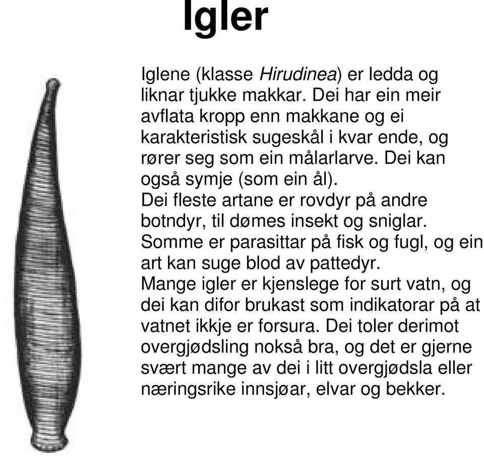 Dei fleste artane er rovdyr på andre botndyr, til dømes insekt og sniglar. Somme er parasittar på fisk og fugl, og ein art kan suge blod av pattedyr.