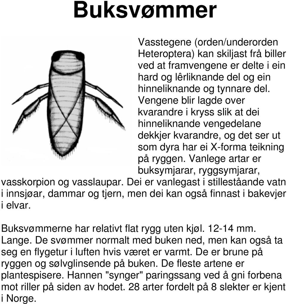 Vanlege artar er buksymjarar, ryggsymjarar, vasskorpion og vasslaupar. Dei er vanlegast i stilleståande vatn i innsjøar, dammar og tjern, men dei kan også finnast i bakevjer i elvar.