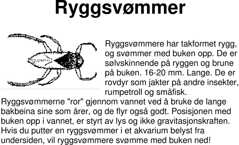 Ryggsvømmerne "ror" gjennom vannet ved å bruke de lange bakbeina sine som årer, og de flyr også godt.