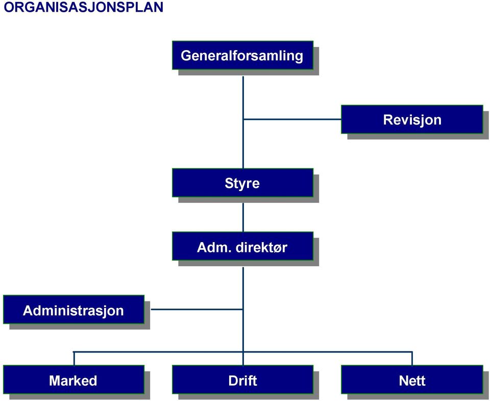 Revisjon Styre Adm.