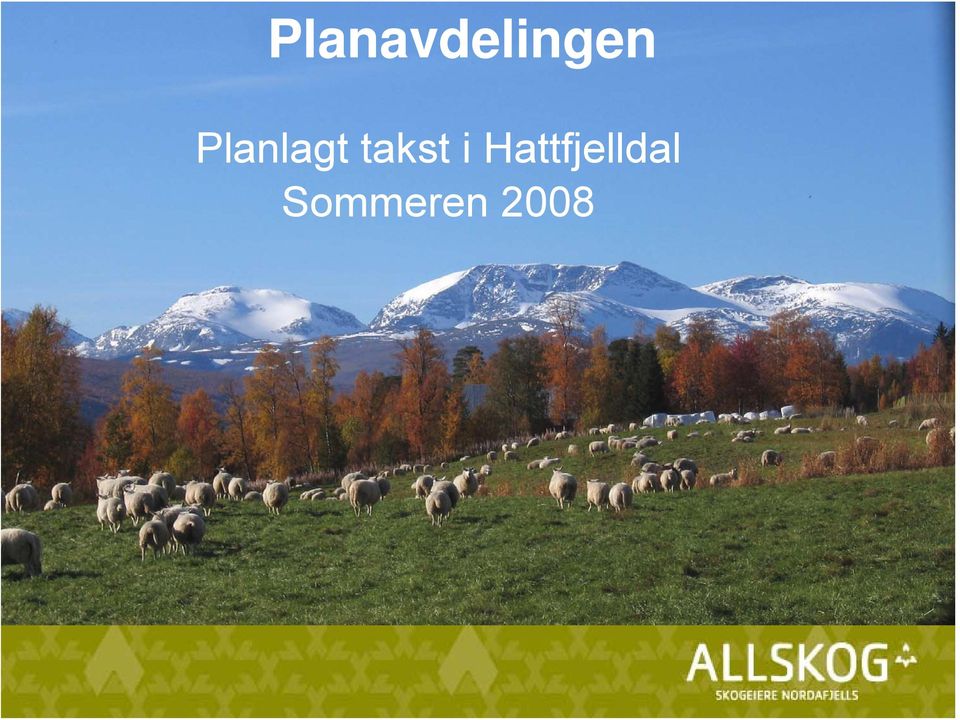 i Hattfjelldal