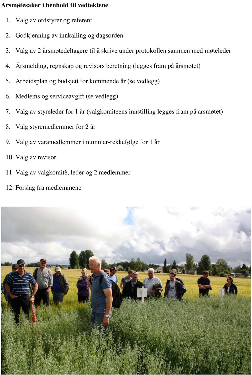 Arbeidsplan og budsjett for kommende år (se vedlegg) 6. Medlems og serviceavgift (se vedlegg) 7.