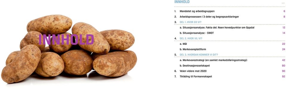 Situasjonsanalyse - SWOT 14 4. DEL 2. HVOR VIL VI? a. Mål 22 b. Merkevareplattform 24 5. DEL 3.