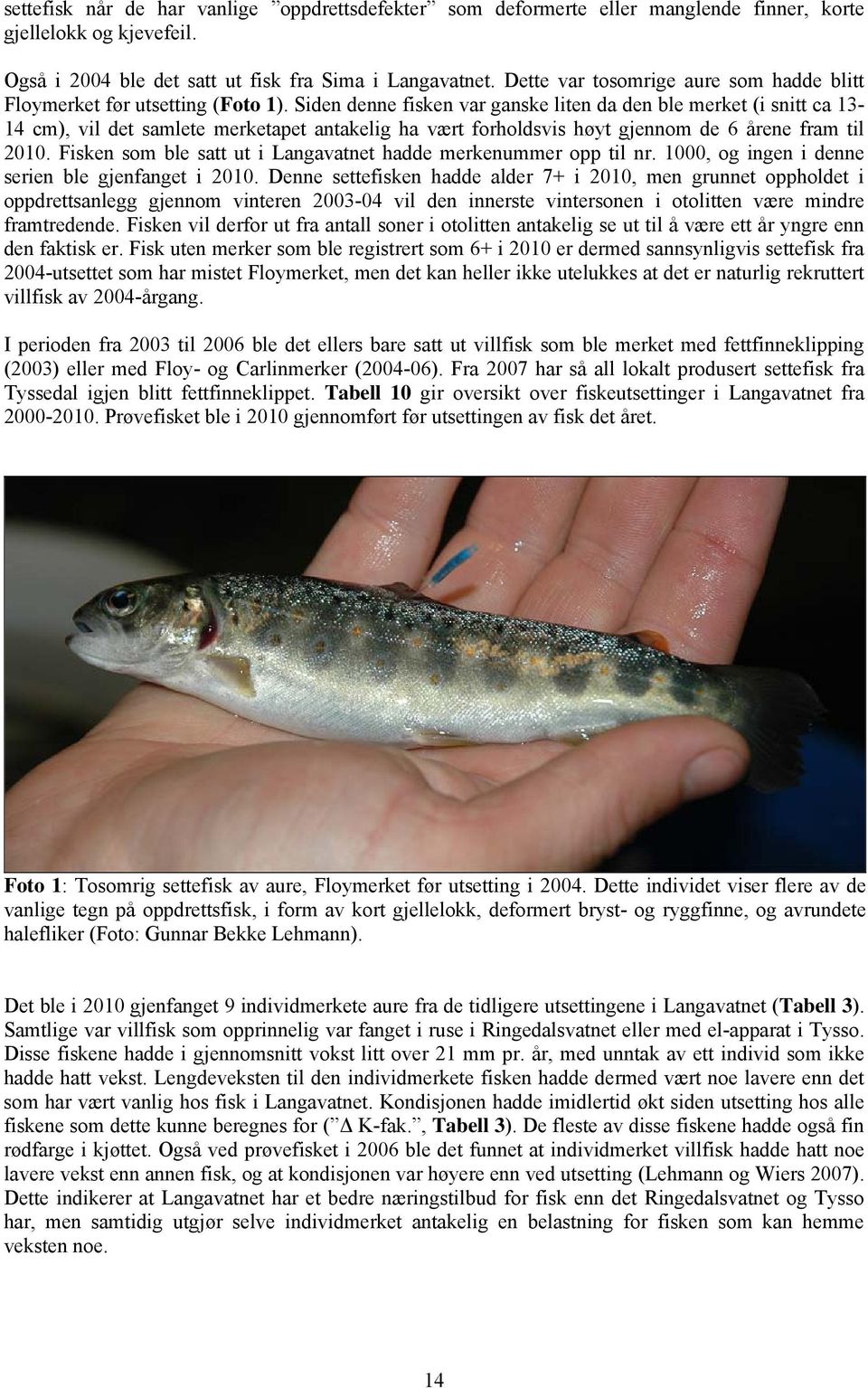 Siden denne fisken var ganske liten da den ble merket (i snitt ca 13-14 cm), vil det samlete merketapet antakelig ha vært forholdsvis høyt gjennom de 6 årene fram til 21.