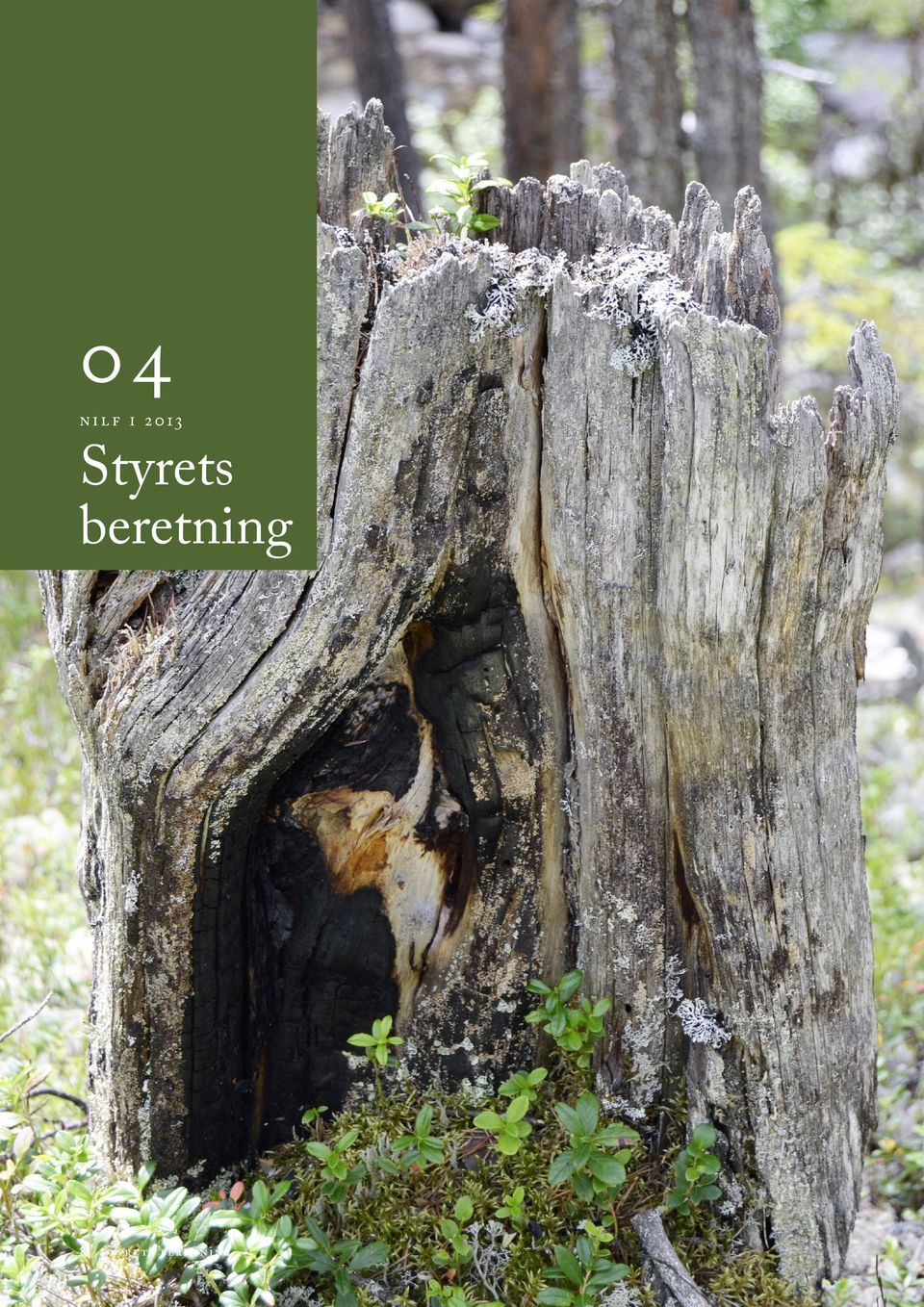 beretning 8