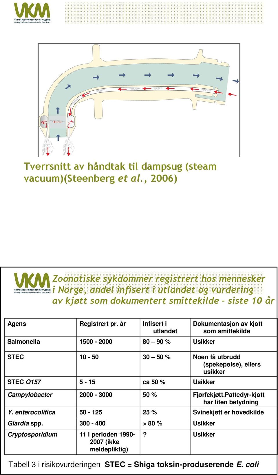 år Infisert i utlandet Dokumentasjon av kjøtt som smittekilde Salmonella 1500-2000 80 90 % Usikker STEC STEC O157 10-50 5-15 30 50 % ca 50 % Noen få utbrudd (spekepølse), ellers