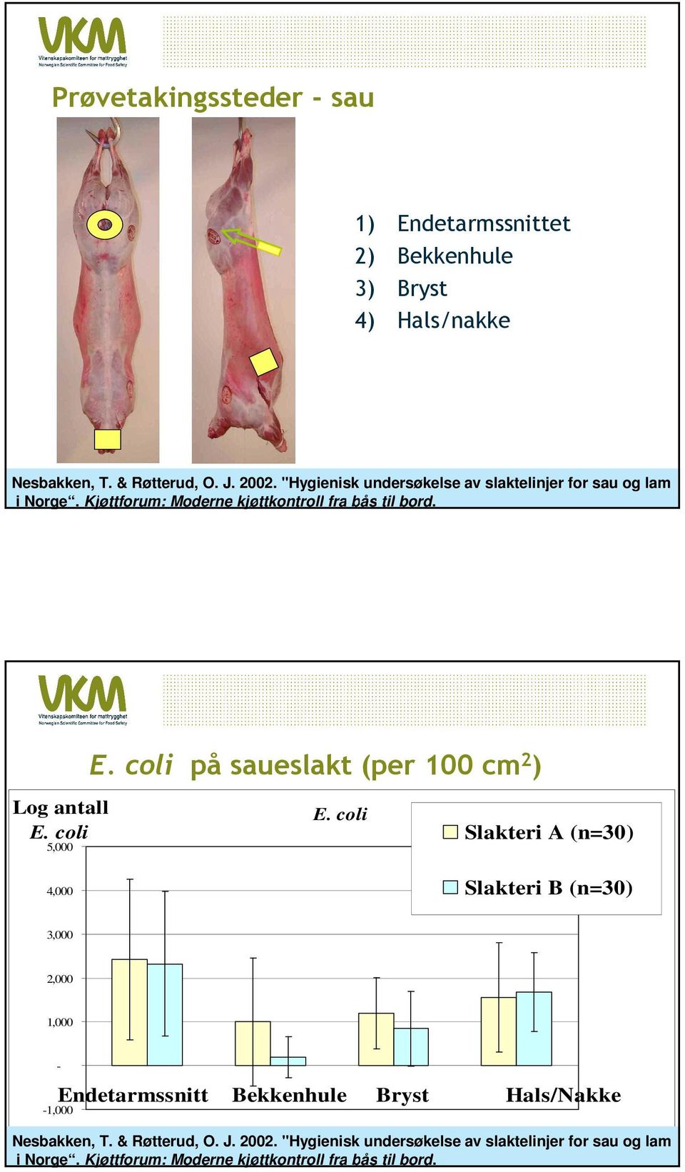 coli Slakteri A (n=30) 5,000 5,00 4,000 4,00 Slakteri B (n=30) 3,000 2,000 Log 3,00 2,00 Sl akt er i A Sl akt er i B Sl akt er i C 1,000 1,00 0,00 Endetar mssnit t Bekkenhule Br