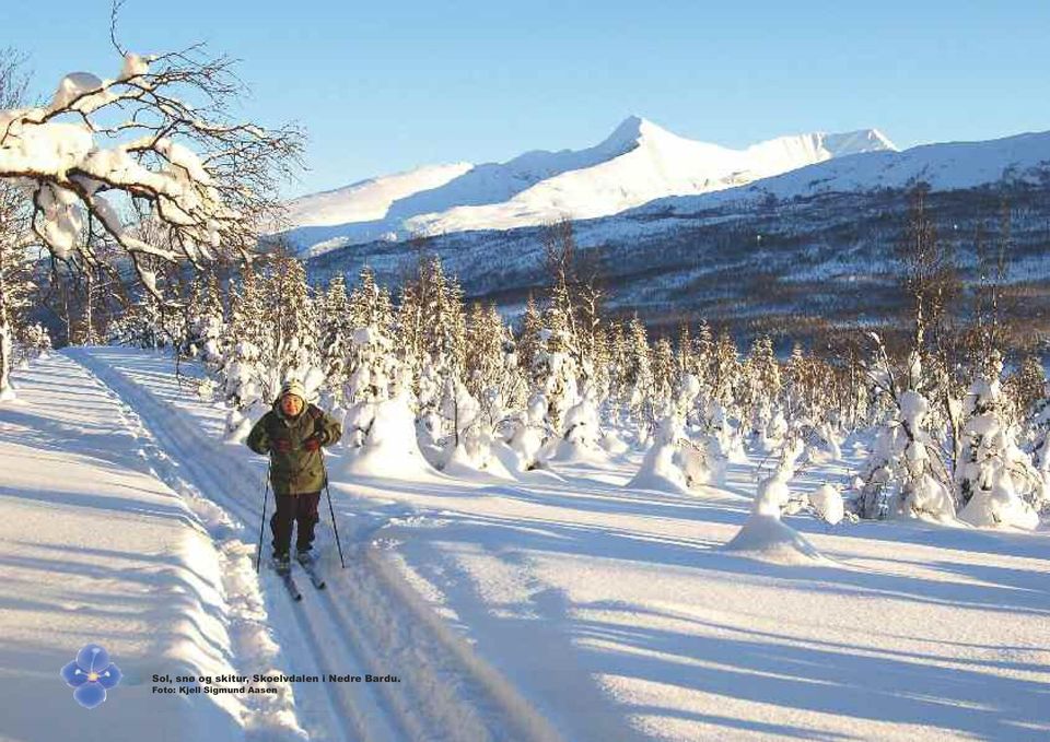 Skoelvdalen i