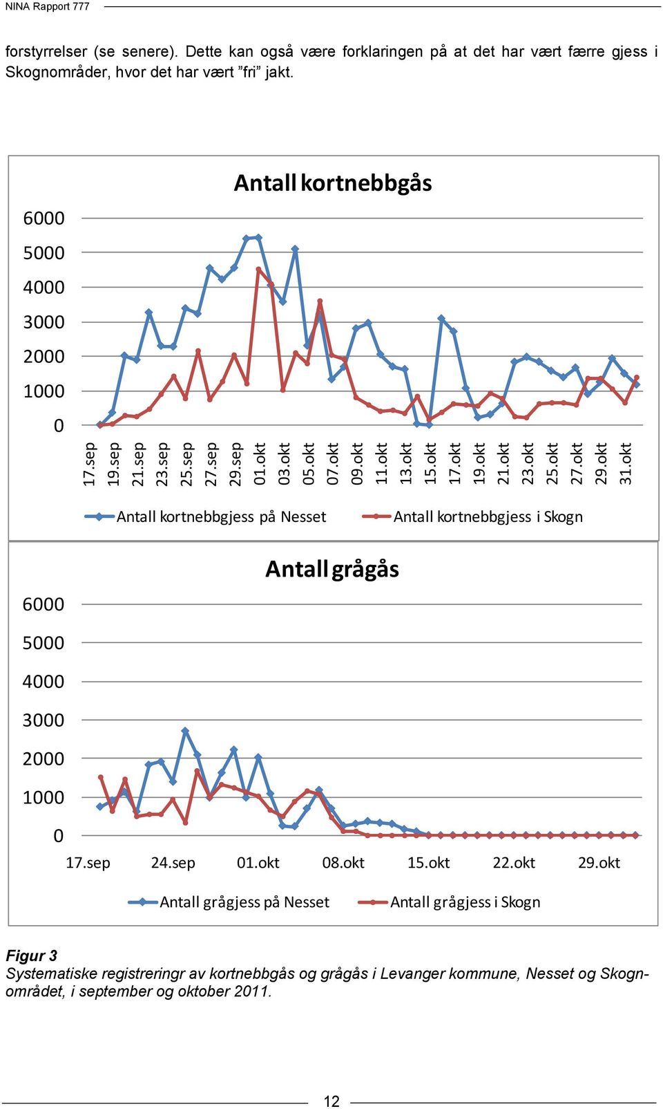 okt 21.okt 23.okt 25.okt 27.okt 29.okt 31.okt Antall kortnebbgjess på Nesset Antall kortnebbgjess i Skogn 6000 Antall grågås 5000 4000 3000 2000 1000 0 17.sep 24.sep 01.