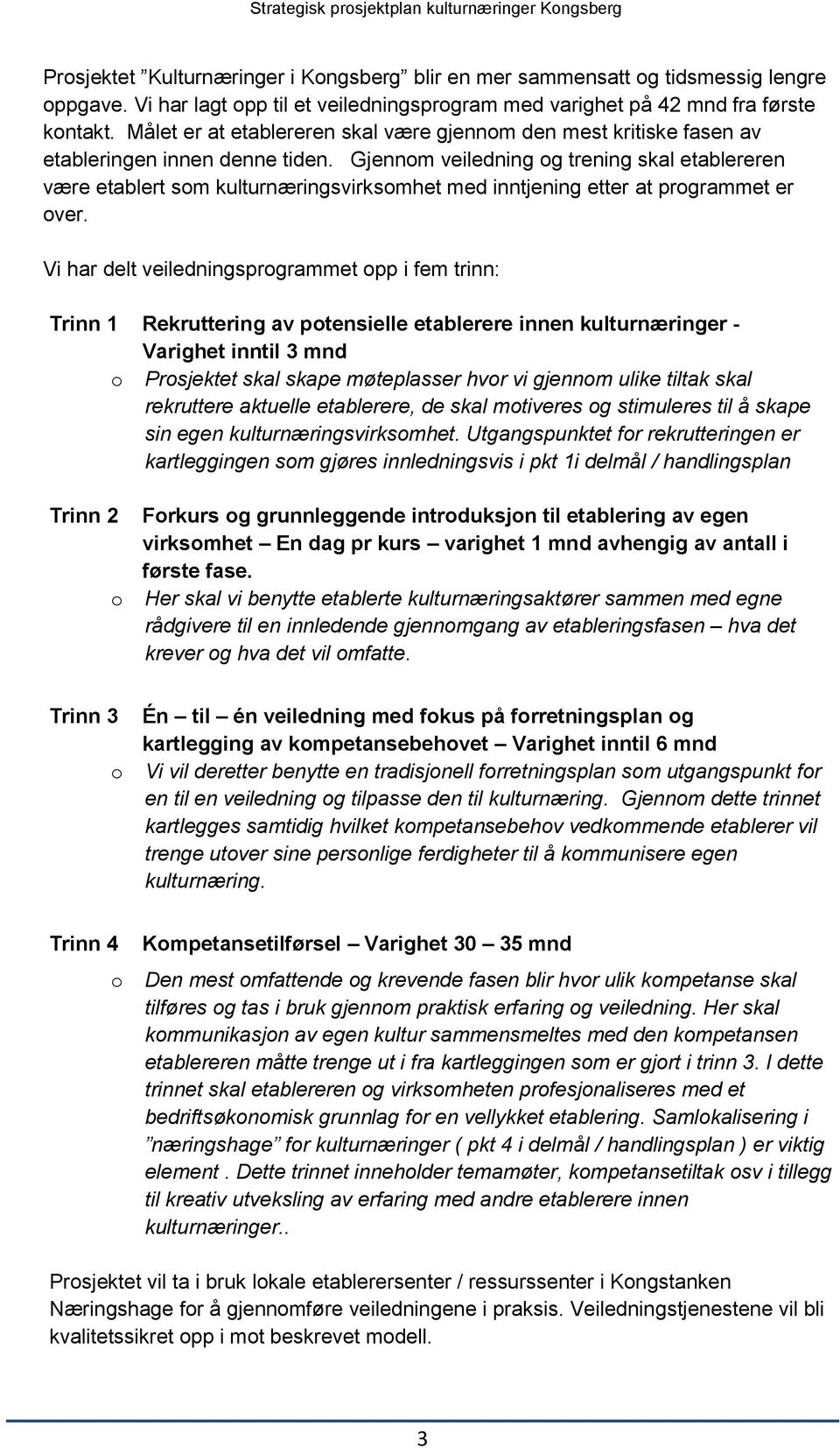 Gjennom veiledning og trening skal etablereren være etablert som kulturnæringsvirksomhet med inntjening etter at programmet er over.