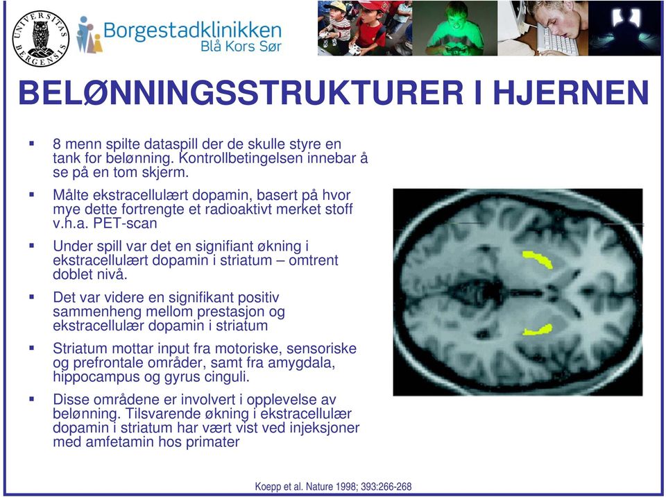 Det var videre en signifikant positiv sammenheng mellom prestasjon og ekstracellulær dopamin i striatum Striatum mottar input fra motoriske, sensoriske og prefrontale områder, samt fra amygdala,