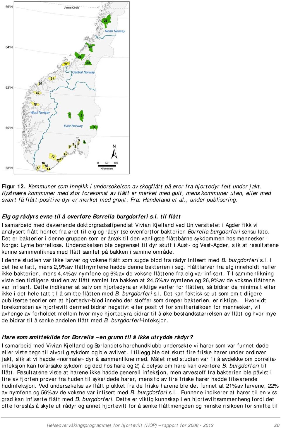 Elg og rådyrs evne til å overføre Borrelia burgdorferi s.l. til flått I samarbeid med daværende doktorgradsstipendiat Vivian Kjelland ved Universitetet i Agder fikk vi analysert flått hentet fra øret