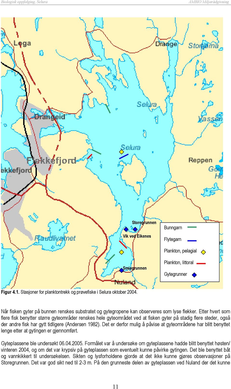 Etter hvert som flere fisk benytter større gyteområder renskes hele gyteområdet ved at fisken gyter på stadig flere steder, også der andre fisk har gytt tidligere (Andersen 1982).