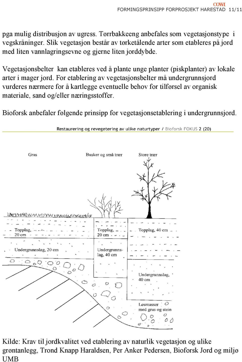 Vegetasjonsbelter kan etableres ved å plante unge planter (piskplanter) av lokale arter i mager jord.